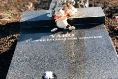 El Recuerdo · Cementerio de Animales