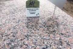 El Recuerdo · Cementerio de Mascotas