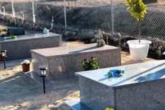 El Recuerdo · Cementerio de Animales