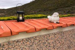 El Recuerdo · Cementerio de Animales