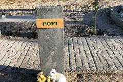 El Recuerdo · Cementerio de Animales