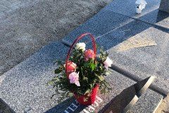 El Recuerdo · Cementerio de Animales